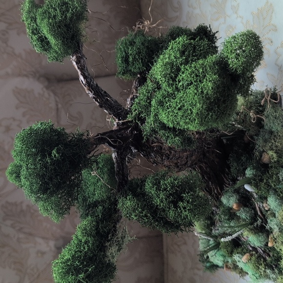 Hand Made Bonsai Tree - Picture 2 of 6